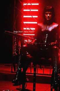 فیلم Dogs Don’t Wear Pants 2019