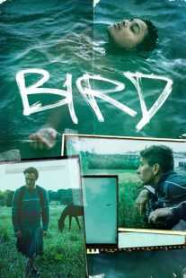 فیلم Bird 2024