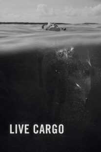فیلم Live Cargo 2016