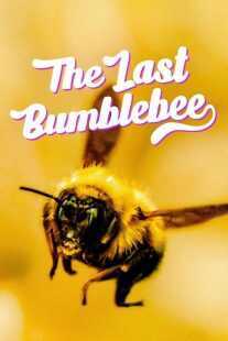 مستند The Last Bumblebee 2024