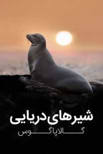 مستند Sea Lions of the Galapagos 2025