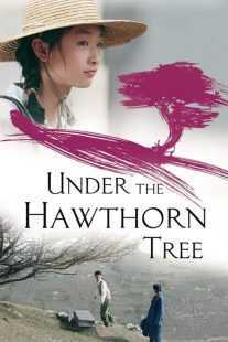 فیلم Under the Hawthorn Tree 2010