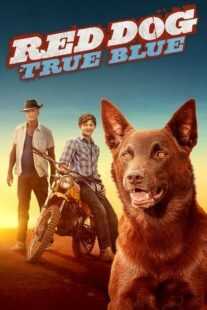 فیلم Red Dog: True Blue 2016
