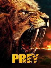 فیلم Prey 2024