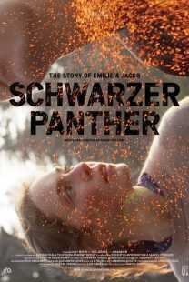 فیلم Schwarzer Panther 2014