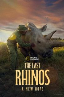  مستند The Last Rhinos A New Hope 2025