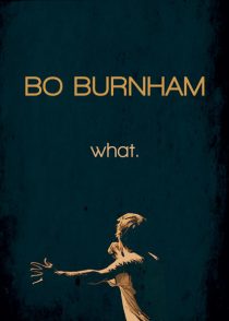  مستند Bo Burnham what 2013