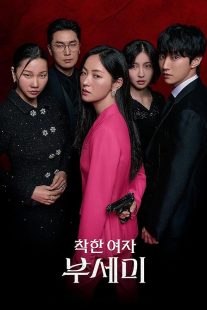 سریال کره‌ای Ms. Incognito