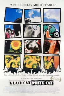  فیلم Black Cat, White Cat 1998