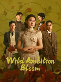  سریال Wild Ambition Bloom